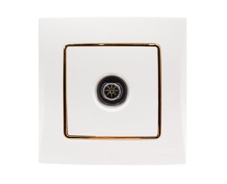 Prise télévision  1820-Y-Y2447WG