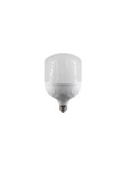 AMPOULE 10 W GOBELET B22/E27
